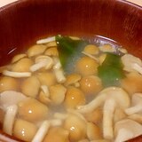 わかめとなめこのお味噌汁～豆腐の代わりにわかめ～